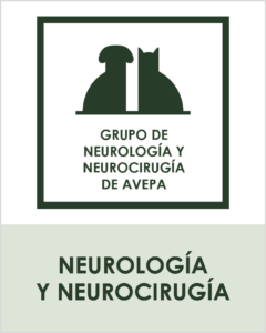 grupos_avepa15