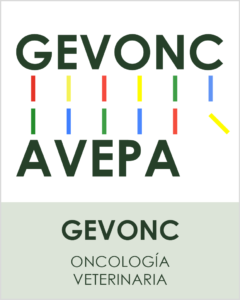 grupos_avepa19