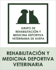 grupos_avepa21