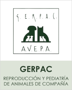 grupos_avepa22