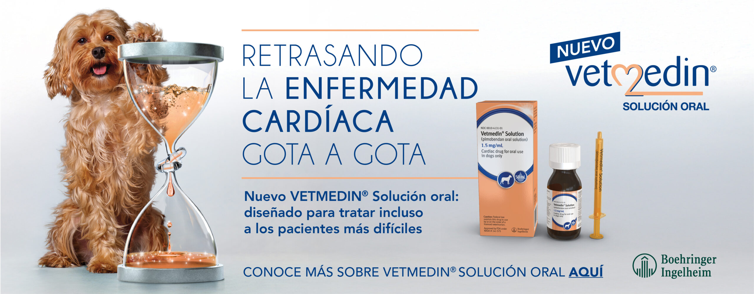 RETRASANDO LA ENFERMEDAD CARDIACA GOTA A GOTA