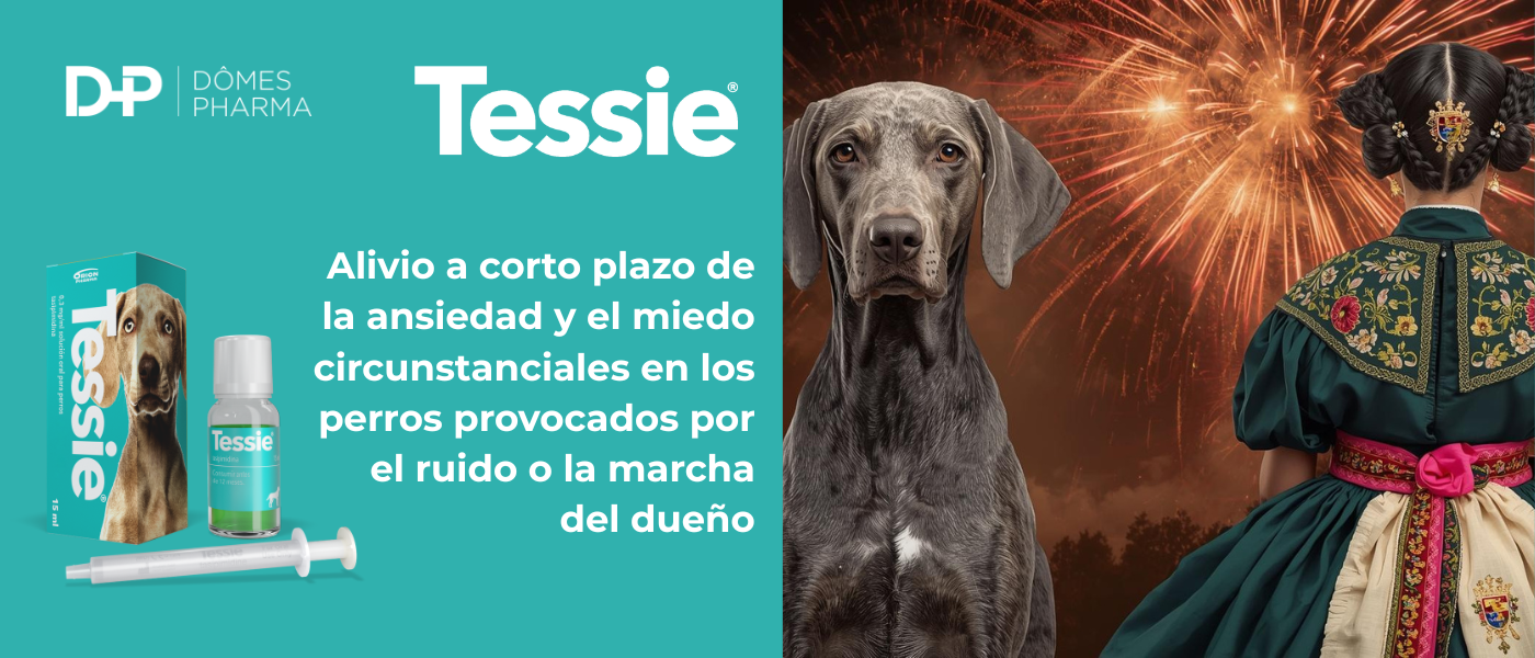 TESSIE TESSIE