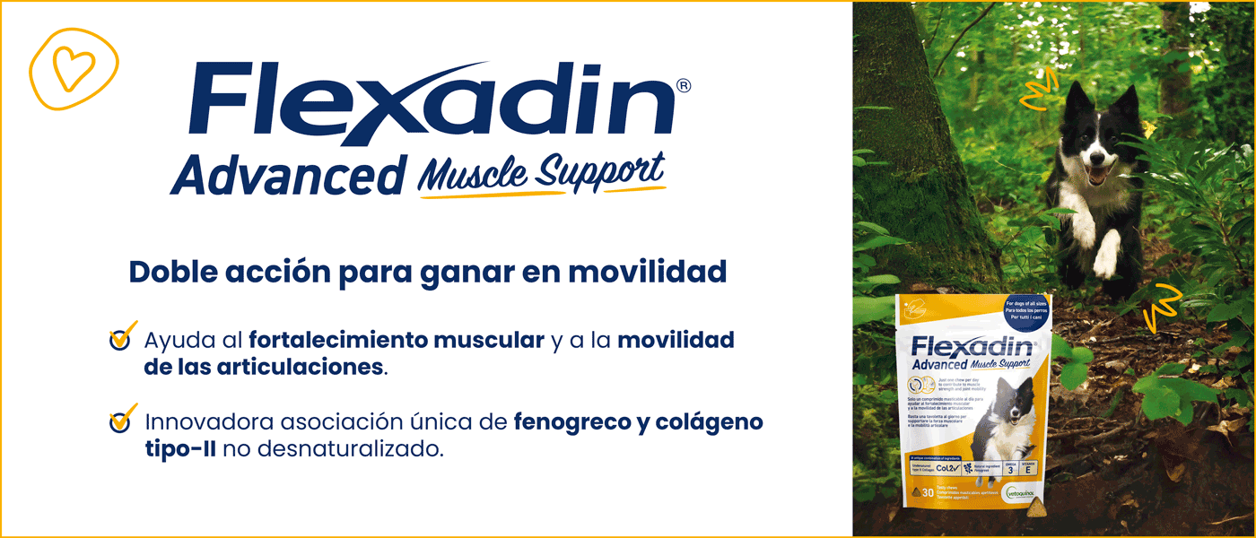 Vetoquinol (Flexadin)